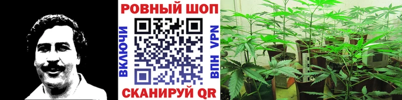 Продажа наркотиков Рудня КОКАИН  A PVP  Конопля 